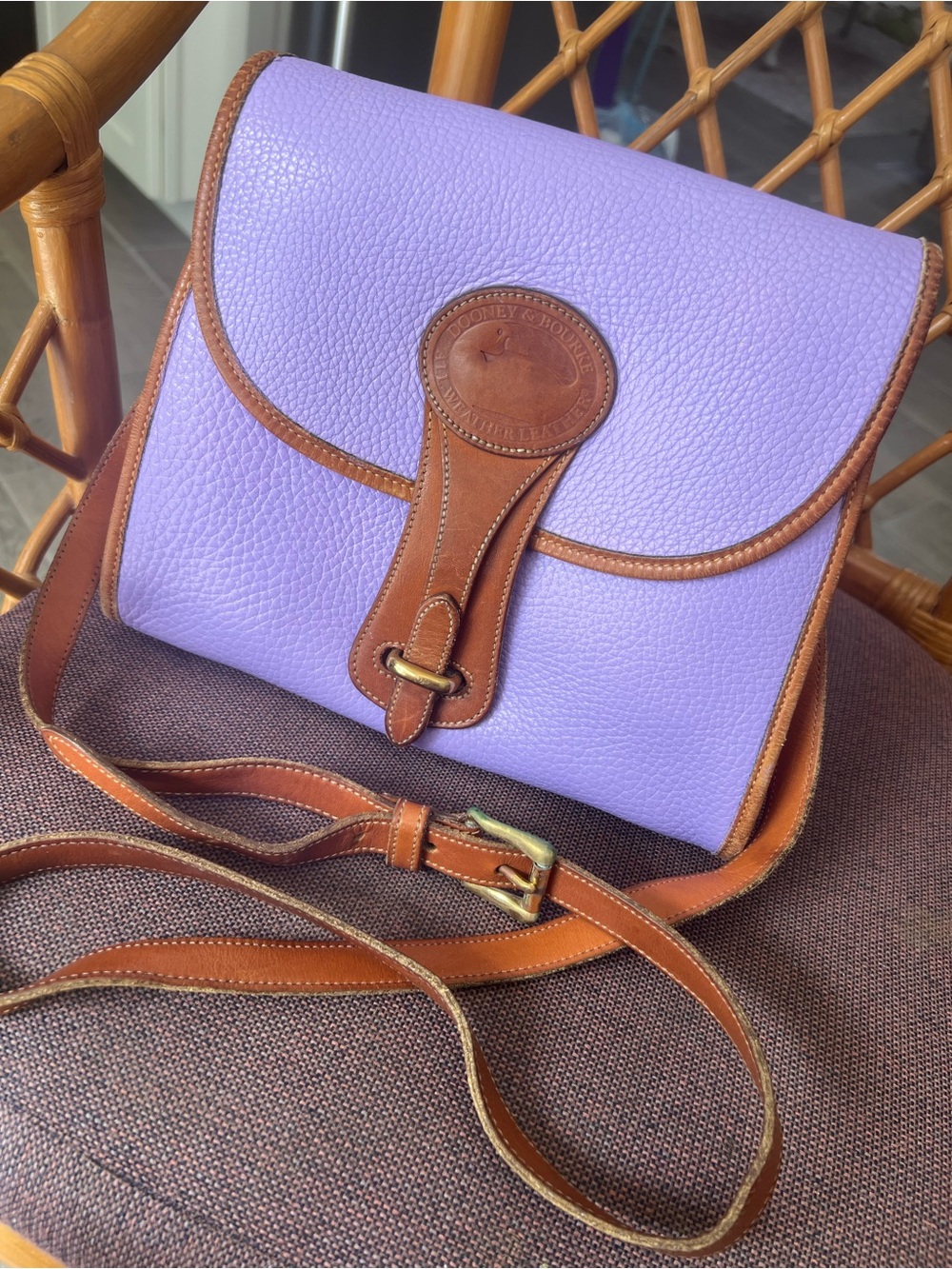 Vintage Dooney & Bourke Essex (Hand Painted)